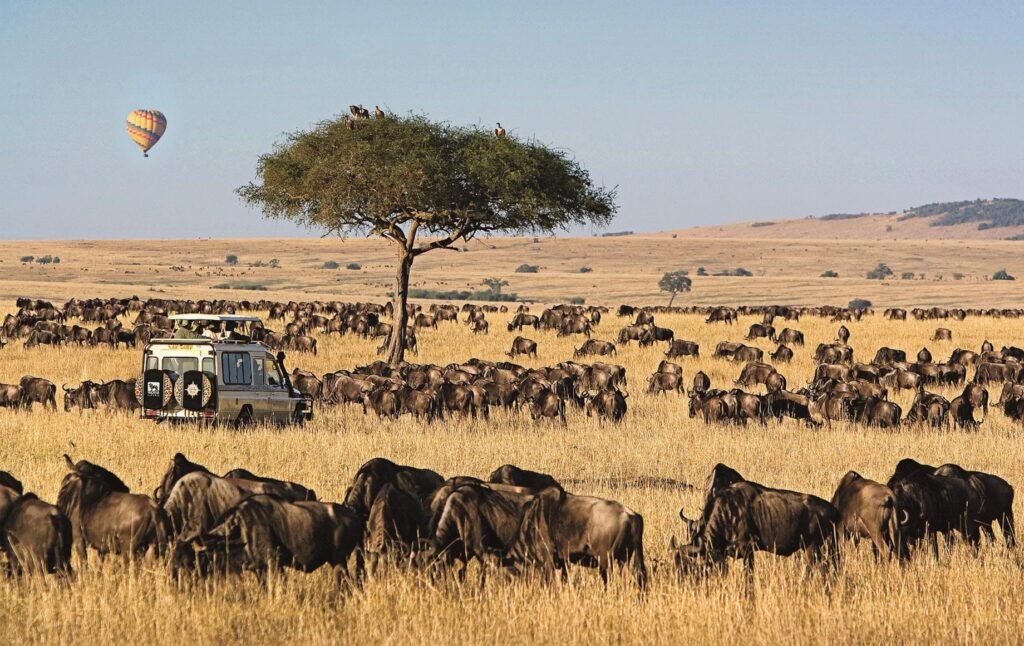 Wildbeest migration in Masai Mara Kenya