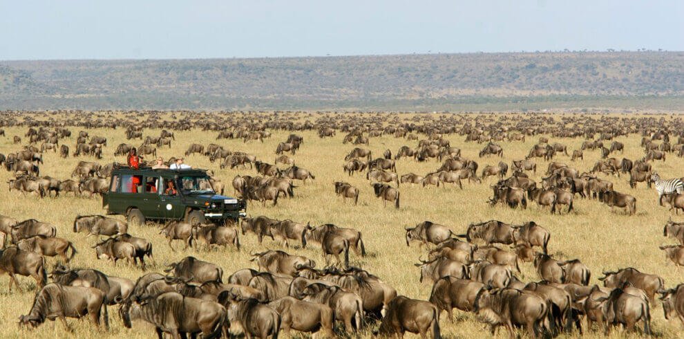 Masai Mara Safari