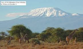 Kilimanjaro peak