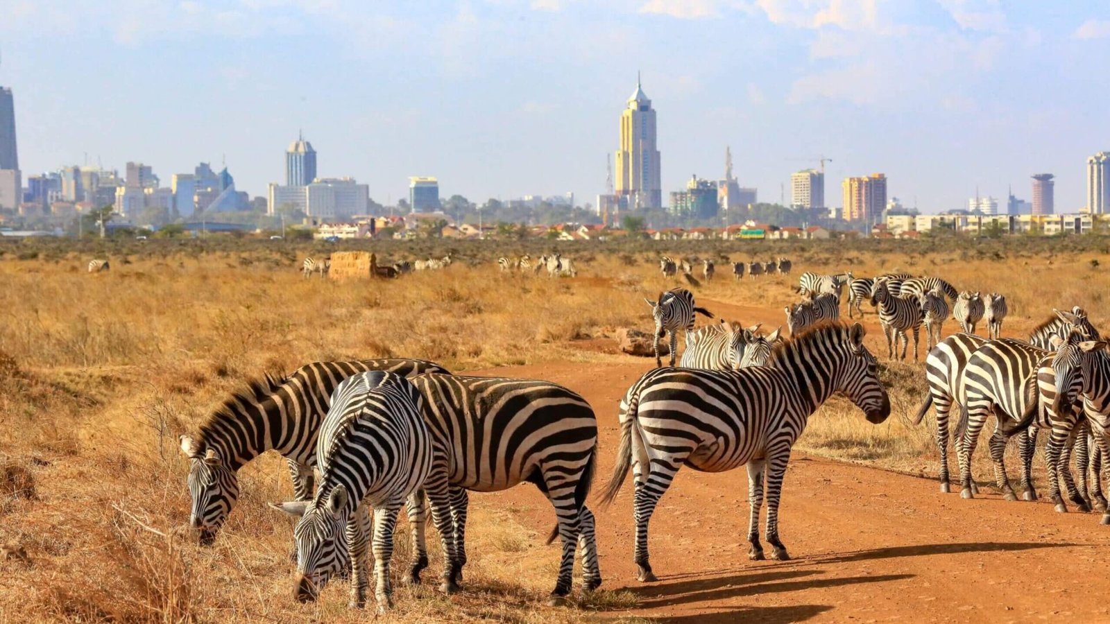 Real Africa Travel Kenya tour
